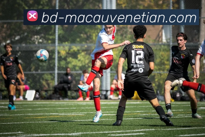 威尼斯人娱乐网站平台生态图